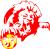 aslan67 - ait Kullanc Resmi (Avatar)