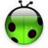 cann2 - ait Kullanc Resmi (Avatar)